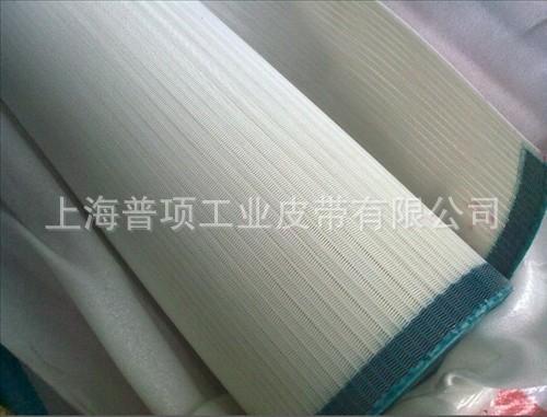 烘箱特氟龙网格带_烘箱特氟龙网格带输送带铁氟龙耐高温网格带PTFE传送带烘干网带