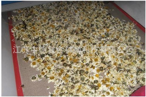 特氟龙输送带_中德厂家供应特氟龙网格带网格输送带特氟龙烘干机