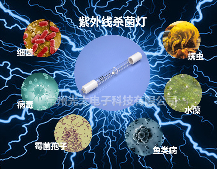 低压汞灯_厂家直销光解uv灯管高废气低压t54p