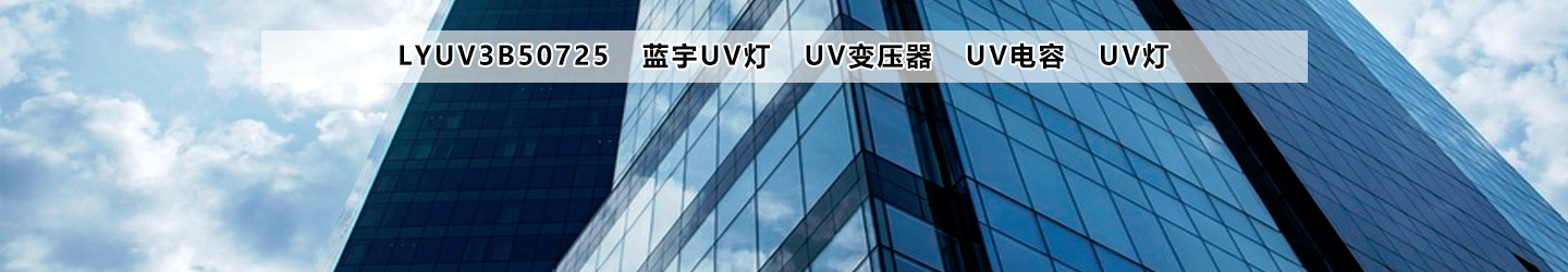 UV固化机蓝宇LYUV光固机台式烘干设备定制紫外线烘干固化机