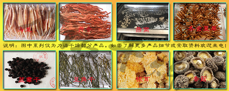 热风循环干燥箱_力诺供应恒温精密烘箱非标定制大型热风循环