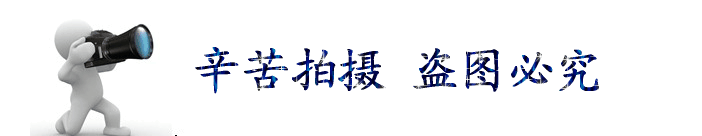 紫外线灯管_高品质/uv灯/紫外线灯管5kw喷涂线/uv专用