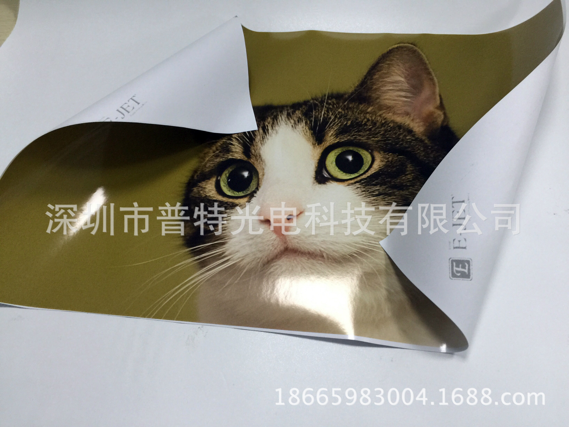 数码打印机_直喷时尚数码打印,进口uv数码打印机