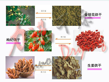热风循环干燥箱_力诺供应恒温精密烘箱非标定制大型热风循环