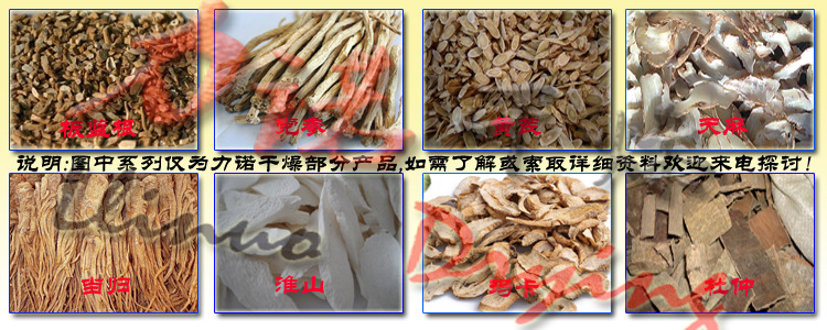热风循环干燥箱_力诺供应恒温精密烘箱非标定制大型热风循环