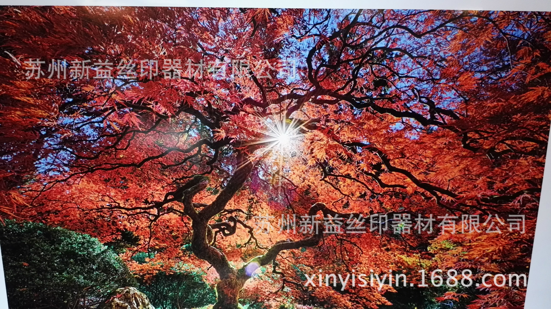 进口平板uv机_进口平板uv机喷绘壁布uv印刷厂家