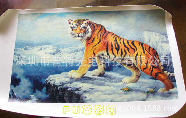 数码打印机_直喷时尚数码打印,进口uv数码打印机