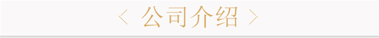 电热鼓风干燥箱_电热鼓风干燥箱工业高温干燥箱烤箱实验室