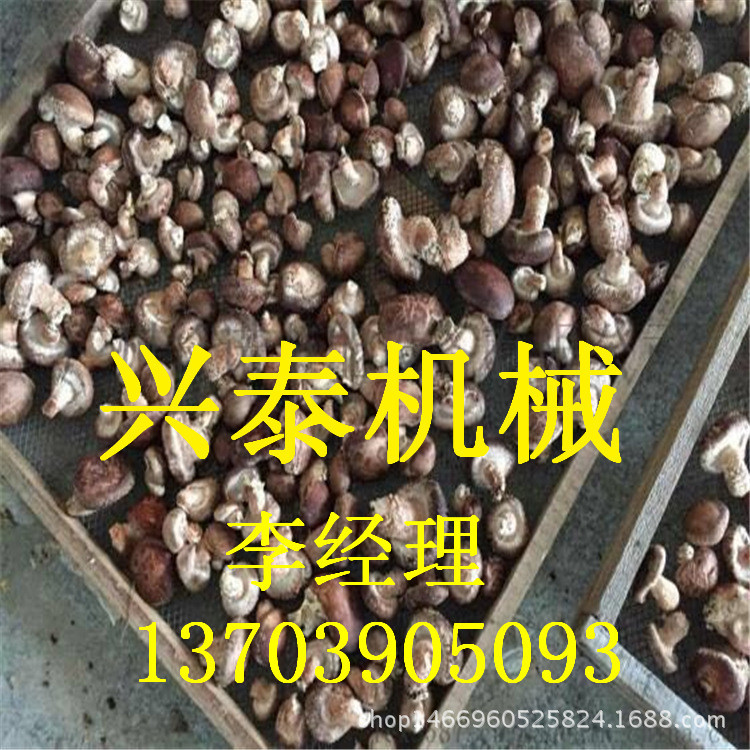 热风循环烘箱_热风循环烘箱果蔬烘干机箱式节能蘑菇