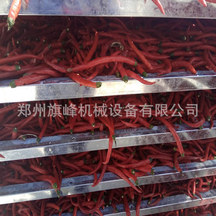 热风循环烘箱_热风循环烘箱烘干干燥设备果脯菊花