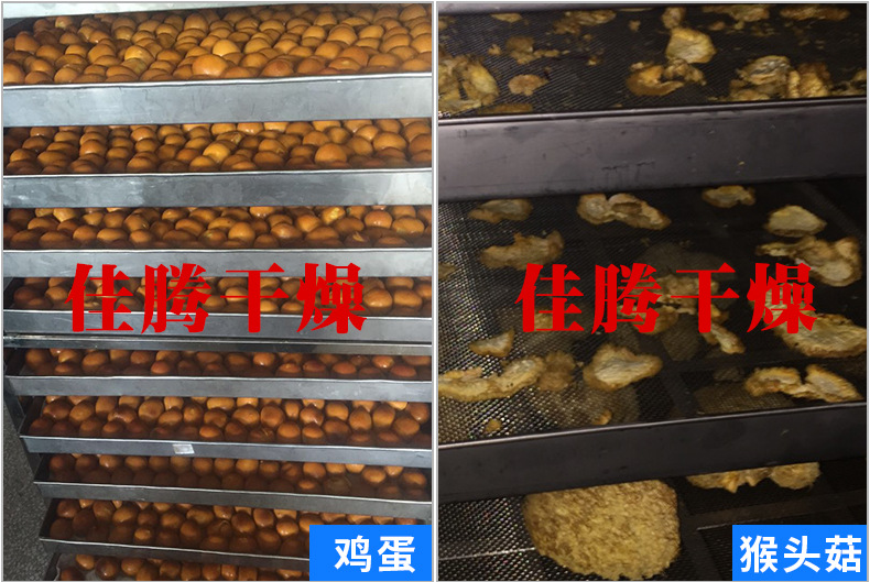燃气烘干固化炉_厂家直销烘房隧道炉不锈钢远红外线隧道炉燃油燃气烘干