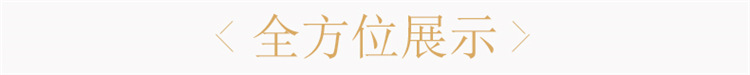 电热鼓风干燥箱_电热鼓风干燥箱工业高温干燥箱烤箱实验室