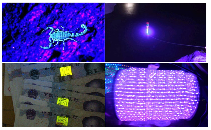 紫光灯珠_厂家供应2835紫光28335灯珠uvled2835紫色led灯珠365nm-430nm