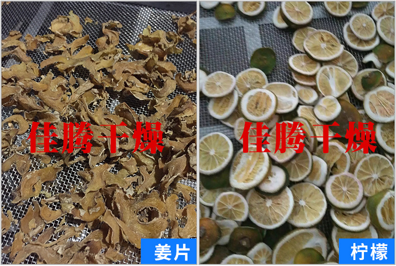 燃气烘干固化炉_厂家直销烘房隧道炉不锈钢远红外线隧道炉燃油燃气烘干