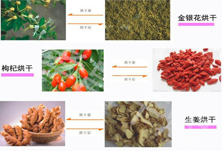 热风循环烘箱_热风循环烘箱高温工业烤箱电热恒温鼓风温度均匀