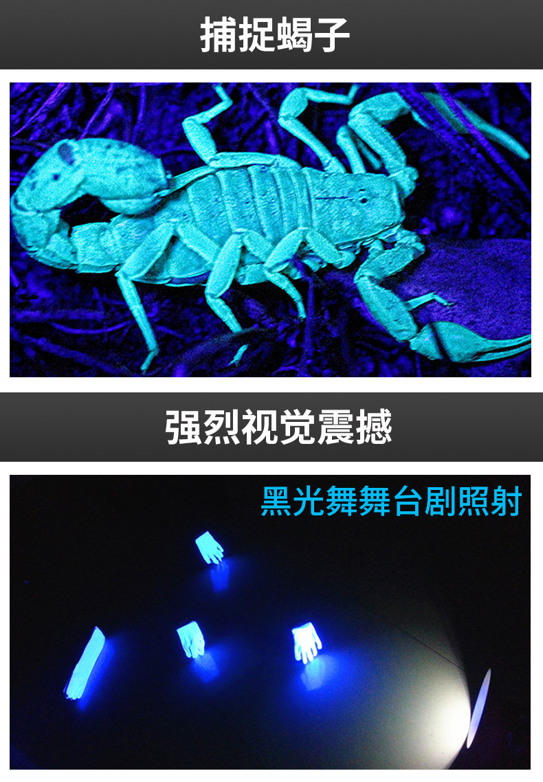 灯psd_12