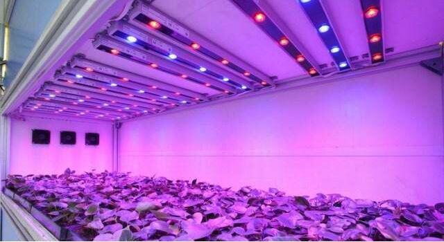 大功率LED灯珠_大功率1W3W紫光灯珠3D打印机固化灯印刷用uvled紫外395nm灯珠