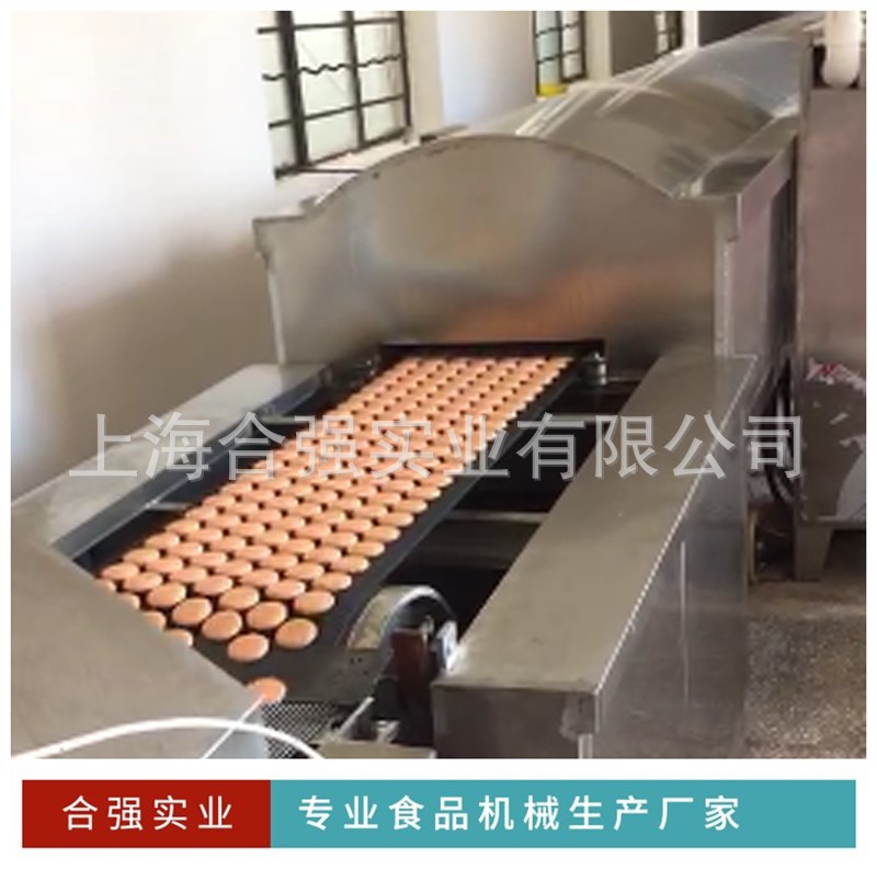 烘焙设备_250型隧道炉小型烘焙设备厂家直销可定制红外线隧道炉