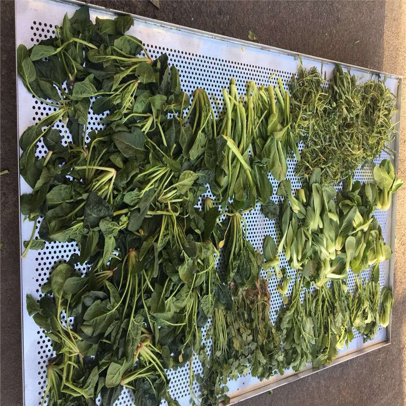 热风循环烘箱_热风循环烘箱果蔬烘干机箱式节能蘑菇