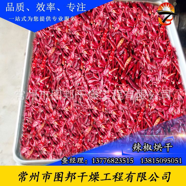 热风循环烘箱_图邦牌食品热风循环烘箱热风循环干燥机烘箱工业恒温