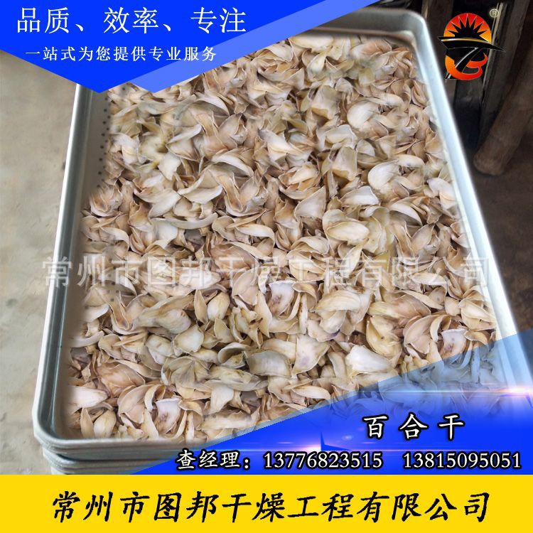 热风循环烘箱_图邦牌食品热风循环烘箱热风循环干燥机烘箱工业恒温