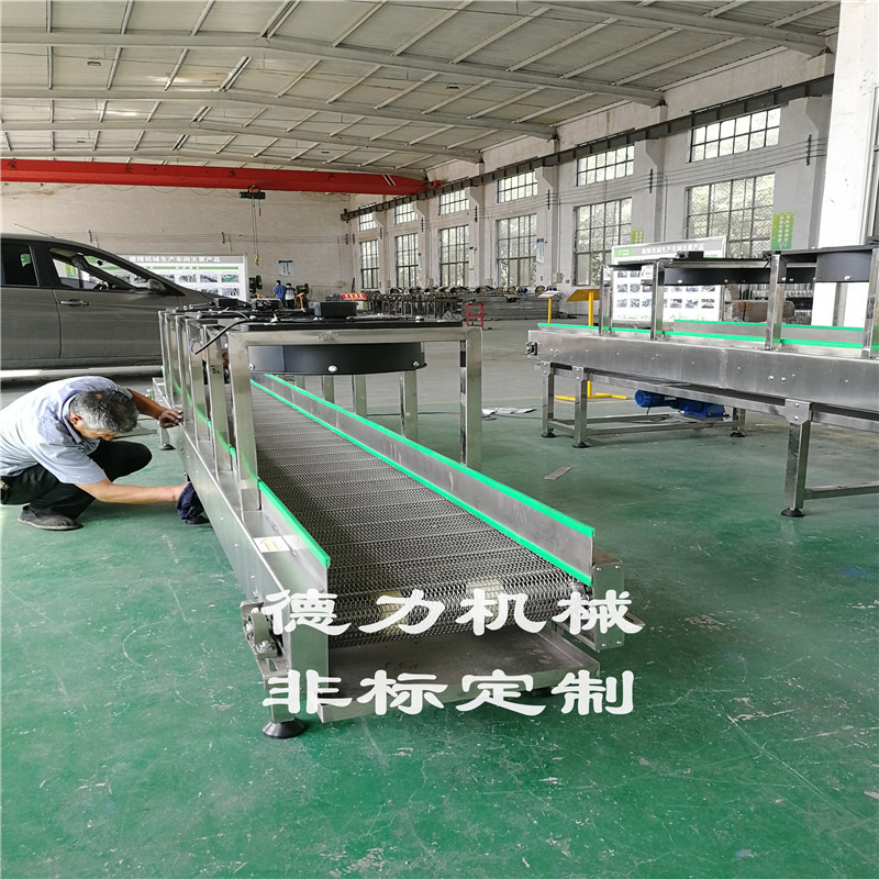 网带输送机_特氟龙网带输送机多层网带输送机皮带输送线双层流水线定制