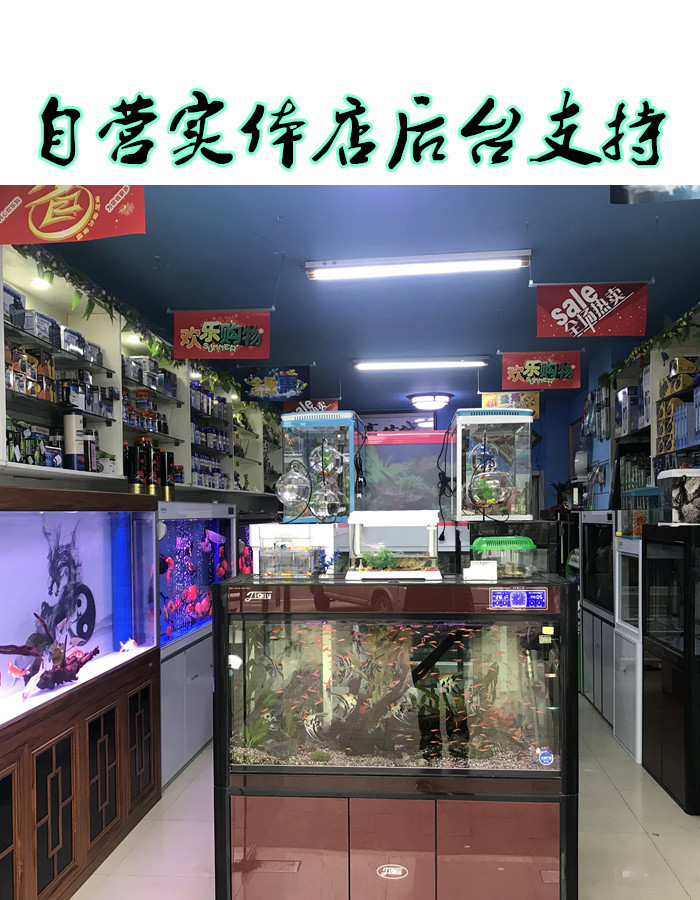 森森鱼缸_森森鱼缸防爆变频加热棒自动恒温养鱼水族箱加热