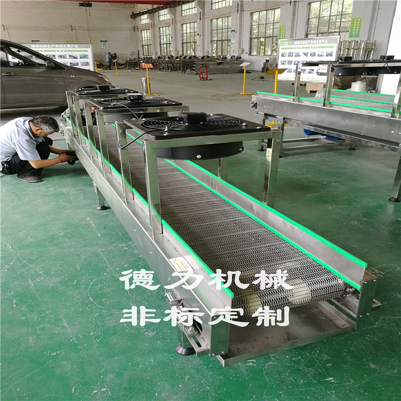 网带输送机_特氟龙网带输送机多层网带输送机皮带输送线双层流水线定制