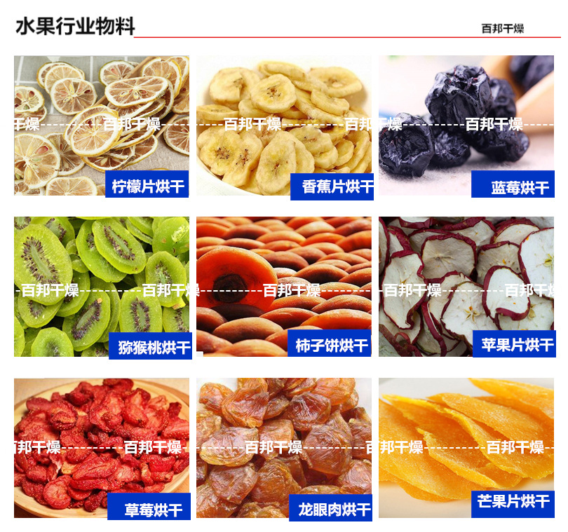 水果烘干 百邦