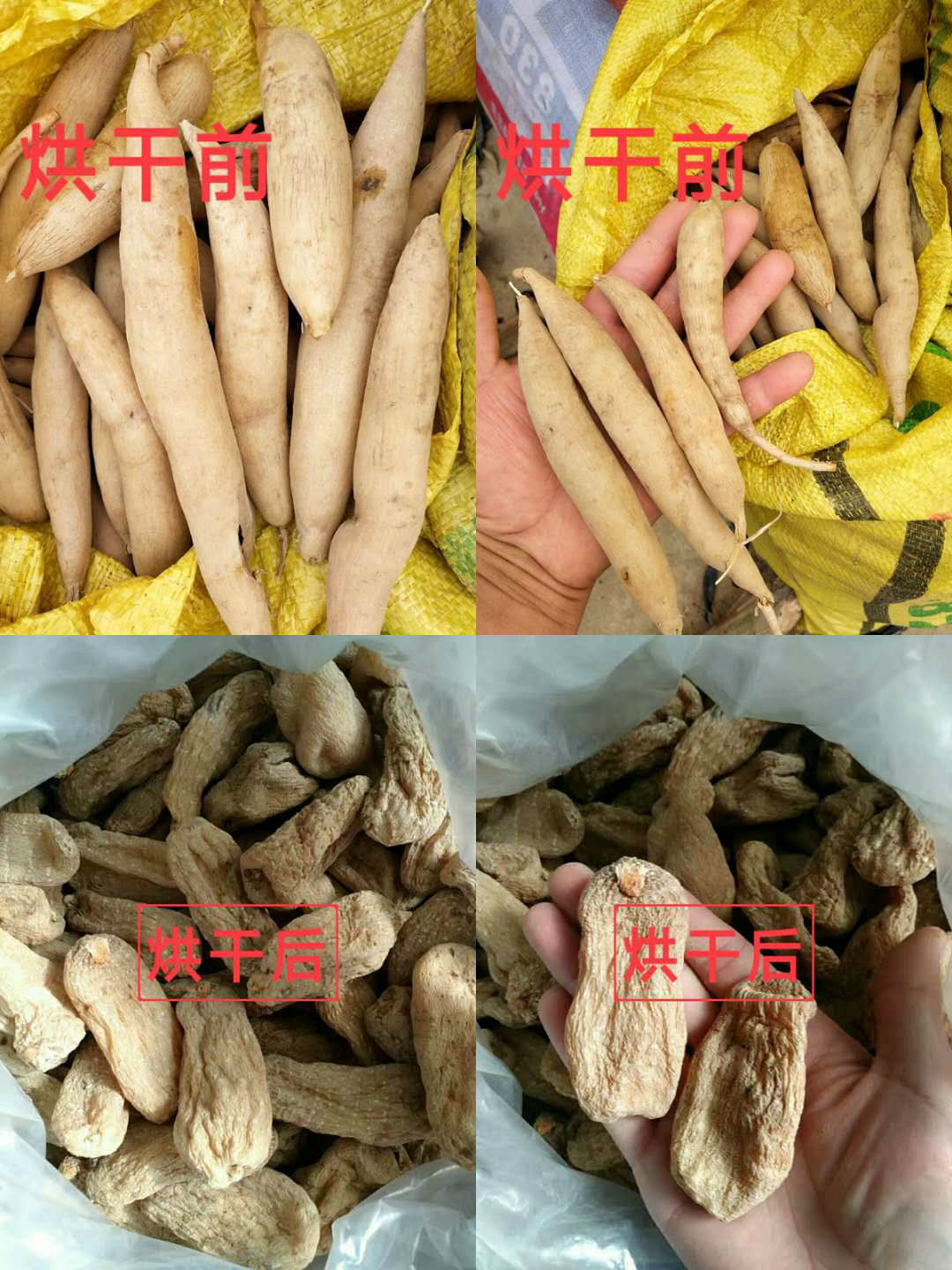 供应山楂烘干设备工业热风循环食品烘干箱中药材烘干机设备