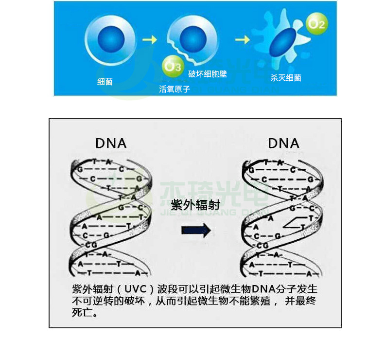 除臭净化紫外线消毒H灯管UV水族鱼缸除澡杀菌灯防水消毒柜紫外灯