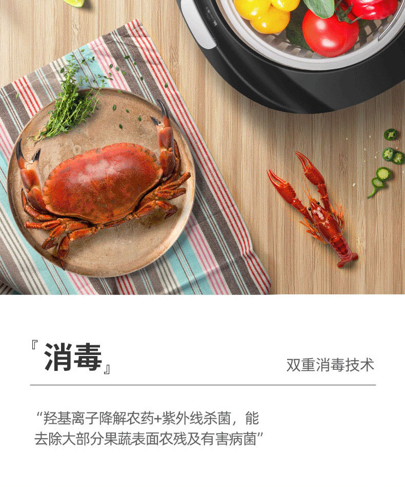 超声波食材_自动果蔬智能家用洗菜机解毒机超声波食材净化紫外线杀菌