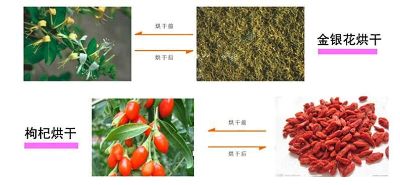 热风循环烘箱_0热风循环烘箱12不锈钢烘干机热风循环烘箱生产厂家