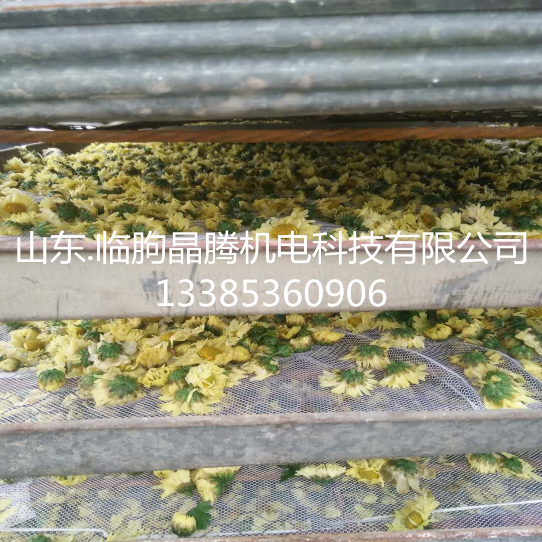 电热鼓风干燥箱_直销蒸汽烘房恒温烘干箱电热鼓风干燥箱冷风低温