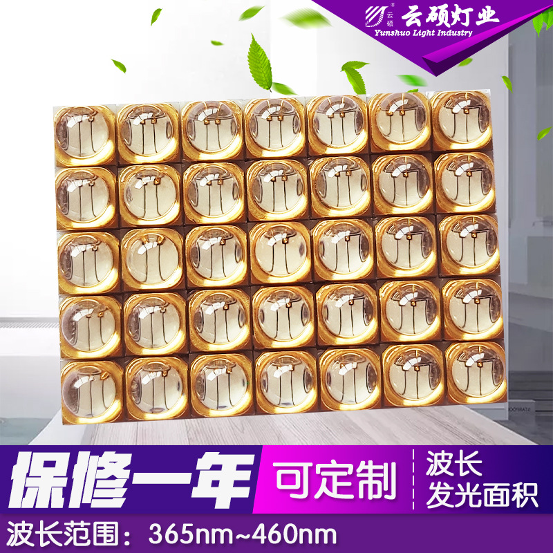 蓝光紫光固化灯_uv蓝光紫光固化灯365/395nm固化机灯珠