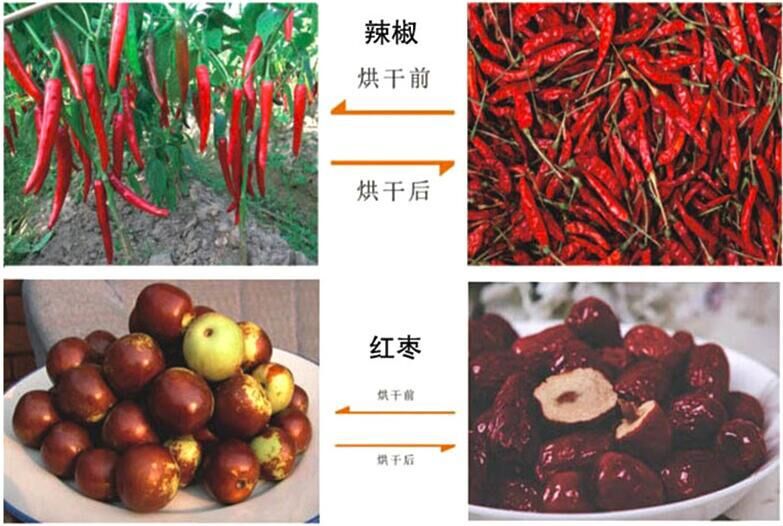 热风循环烘箱_0热风循环烘箱12不锈钢烘干机热风循环烘箱生产厂家