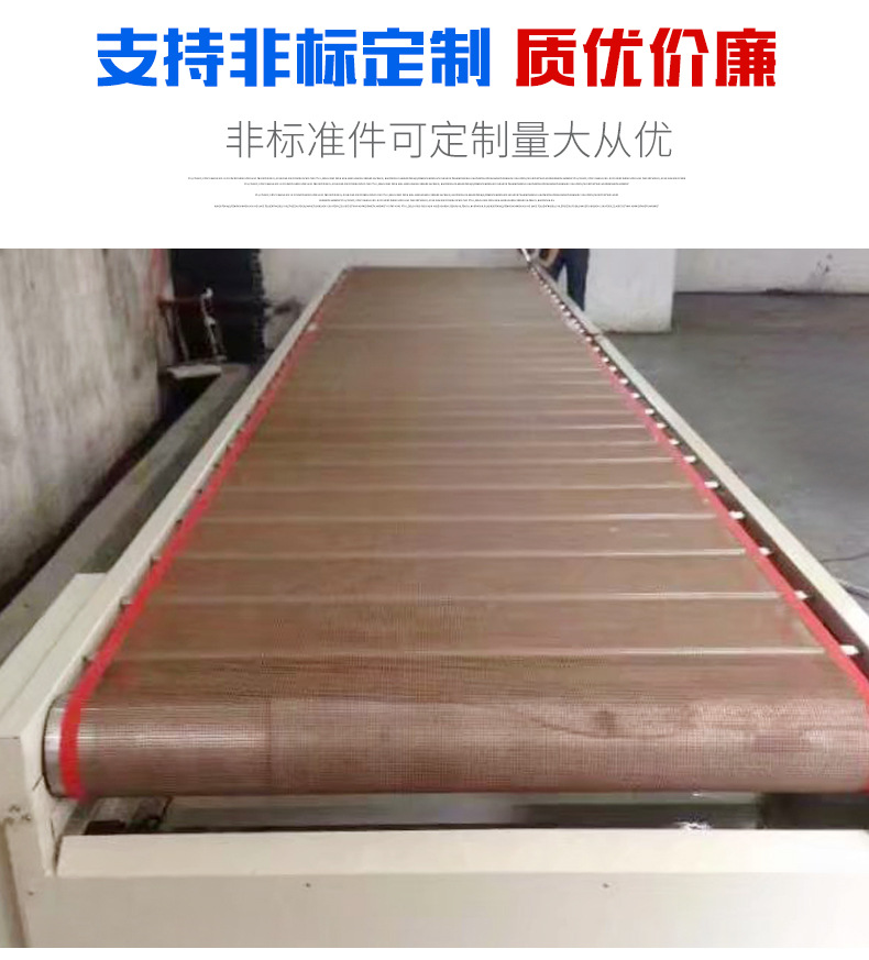 定制铁氟龙网带用红外线隧道炉烘干随道炉喷油线