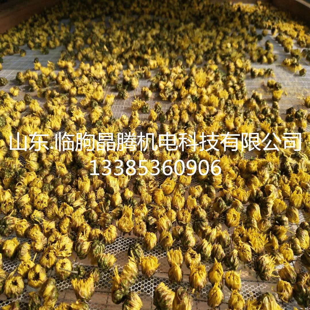 电热鼓风干燥箱_直销蒸汽烘房恒温烘干箱电热鼓风干燥箱冷风低温