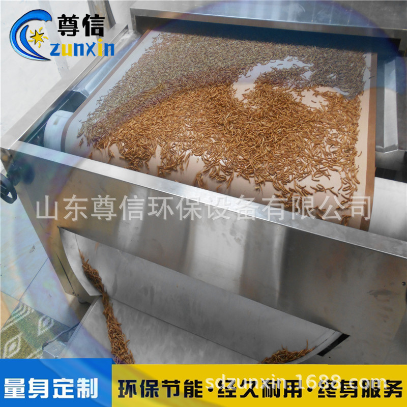 湖北黑水虻干燥设备流水线式/100公斤活虫微波干燥膨胀隧道炉