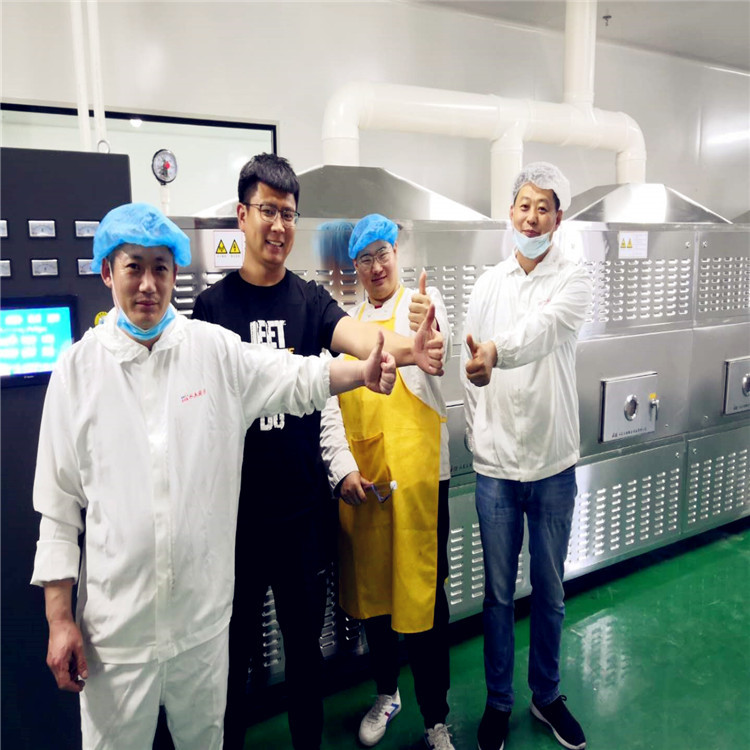盒饭加热炉隧道式的盒饭加热流水线学生开学菜品加热设备