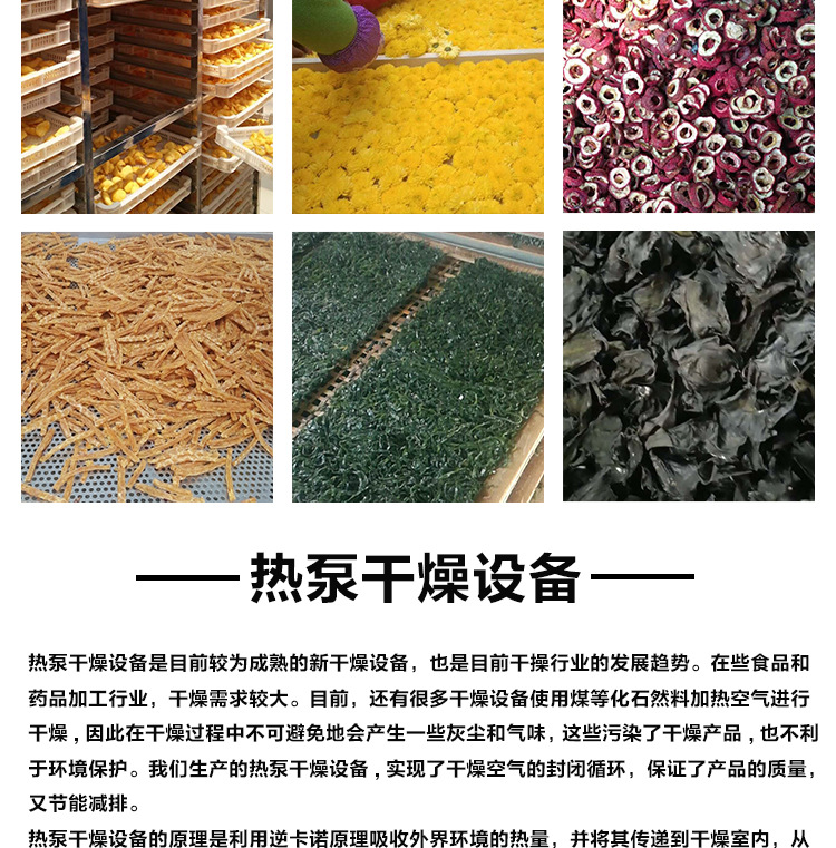 平流正反循环热泵烘干房箱式热风循环恒温高温工业烘箱工厂定制