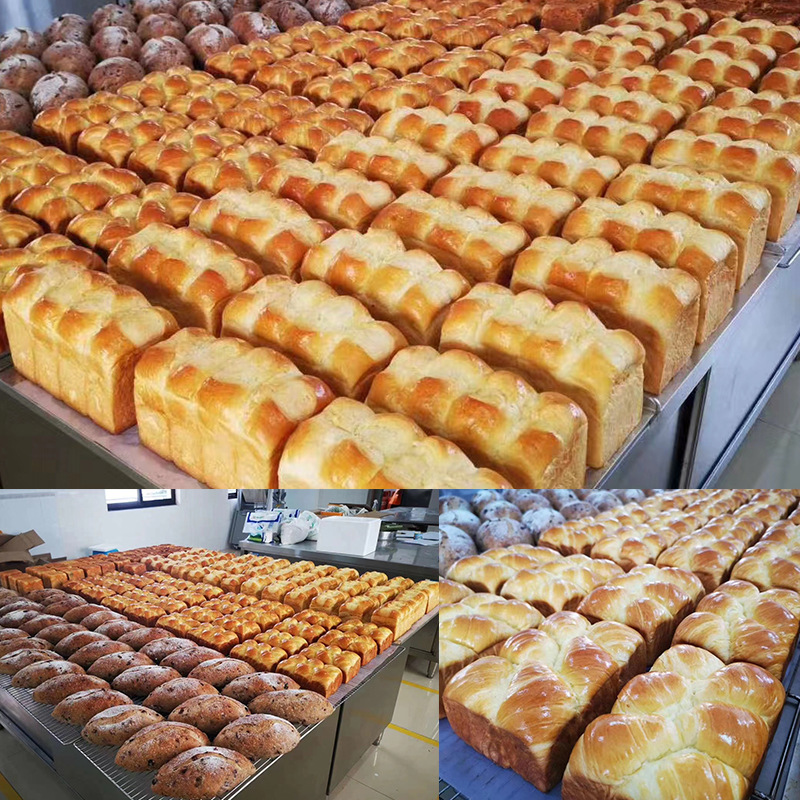 烘干固化设备_上海隧道炉商用触摸面板电热隧道曲奇饼干工厂食品加工设备隧道炉