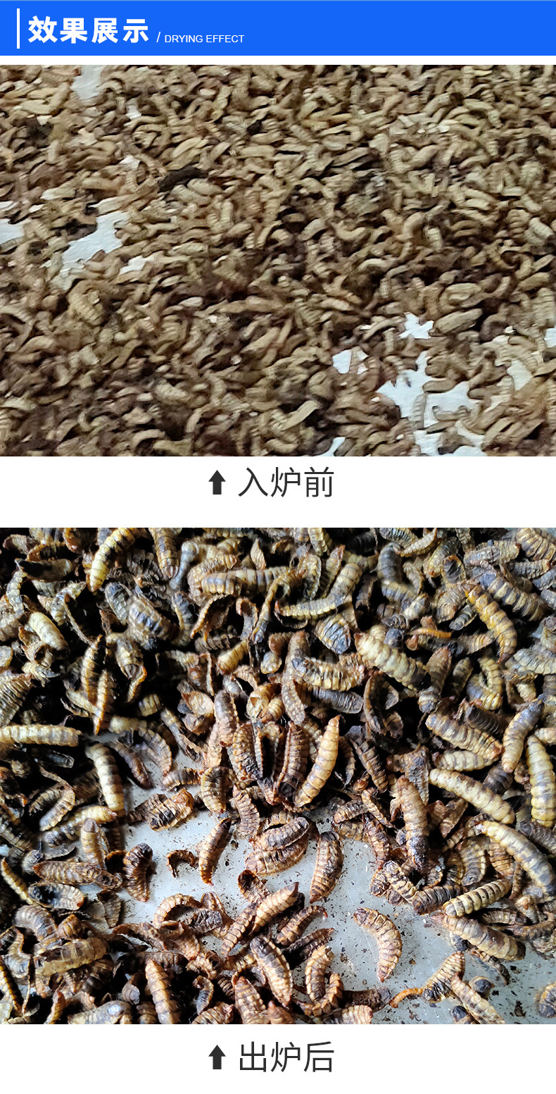 厂家定制不锈钢隧道炉烘干线耐高温烘干隧道炉丝印拉铁氟龙网带线