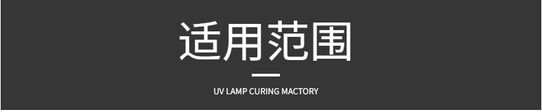 小型便携式手提uv固化机工业紫外线uv光固机UV胶光油漆硬化UV机