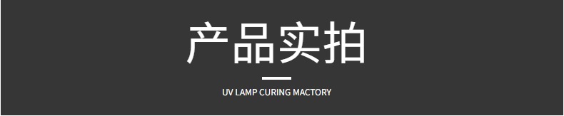 小型便携式手提uv固化机工业紫外线uv光固机UV胶光油漆硬化UV机