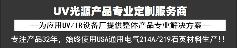 小型便携式手提uv固化机工业紫外线uv光固机UV胶光油漆硬化UV机