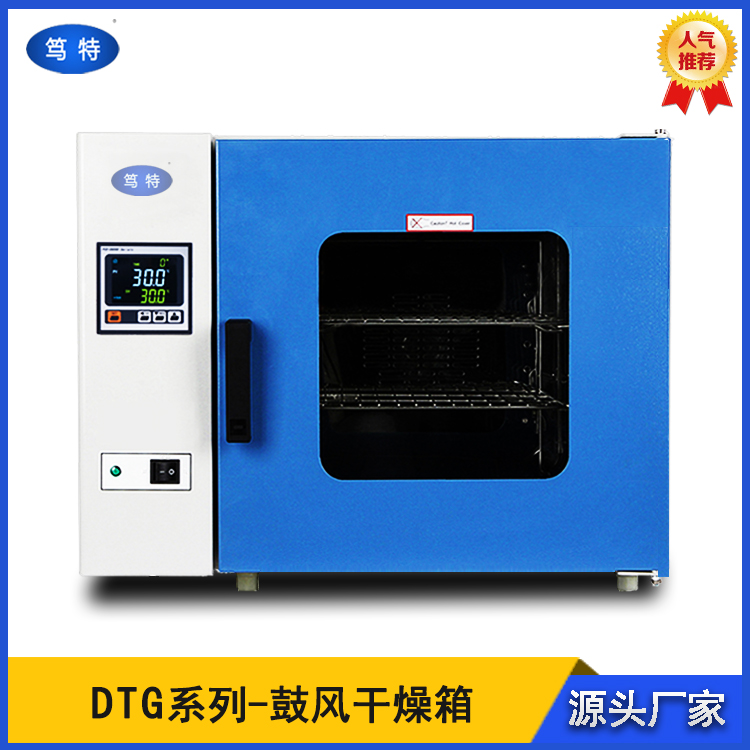 电热恒温鼓风干燥箱 立式高温工业烤箱 热风循环