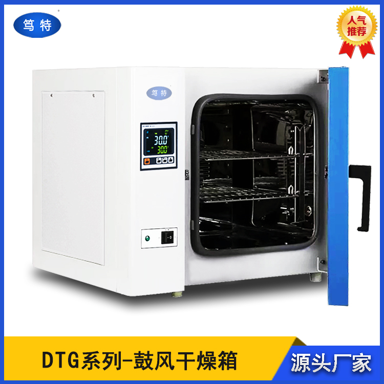 电热恒温鼓风干燥箱 立式高温工业烤箱 热风循环