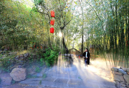 圆面UV光固机胶片烘干机转盘丝印机烘干隧道炉服装印刷烘干机