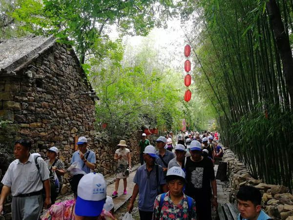 圆面UV光固机胶片烘干机转盘丝印机烘干隧道炉服装印刷烘干机